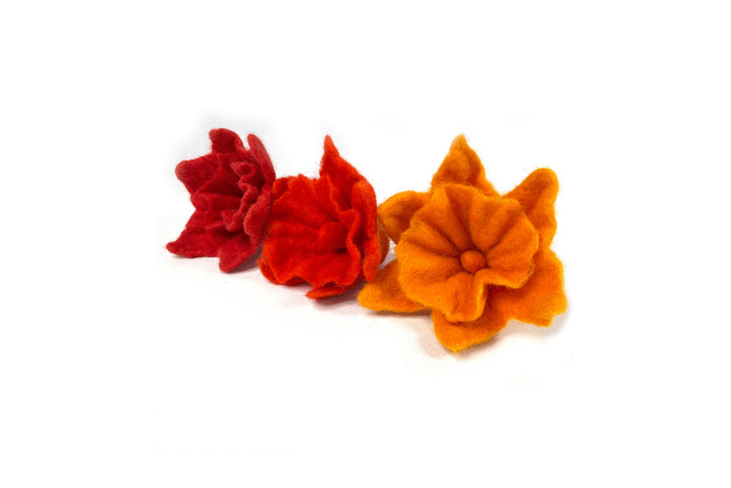 Papoose Rainbow Sorting Materials